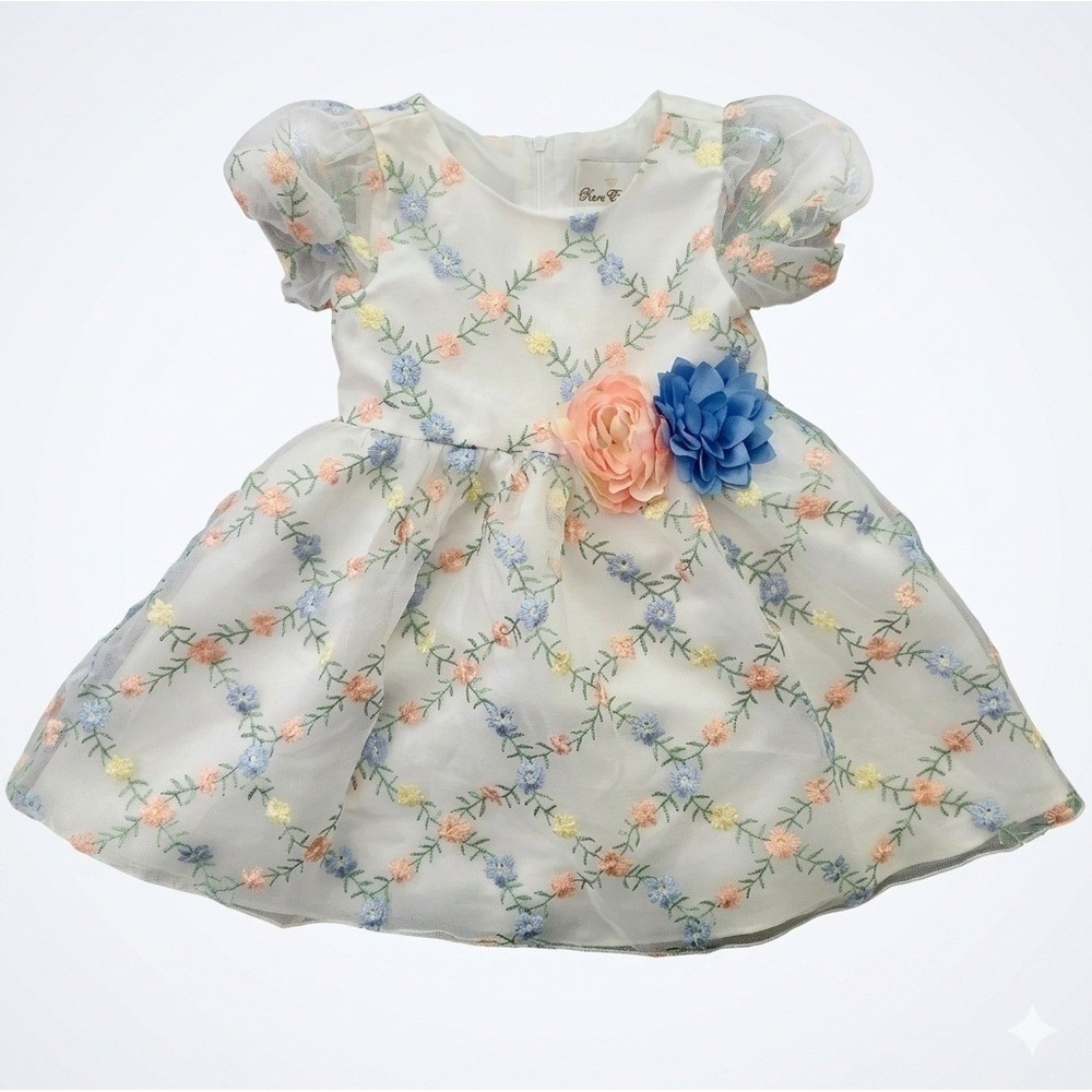 Rare Editions Girls Floral Embroidered Organza Party Dress White 3T